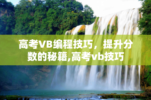 高考VB编程技巧，提升分数的秘籍,高考vb技巧
