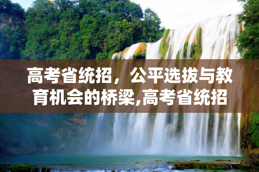 高考省统招，公平选拔与教育机会的桥梁,高考省统招