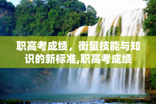 职高考成绩，衡量技能与知识的新标准,职高考成绩