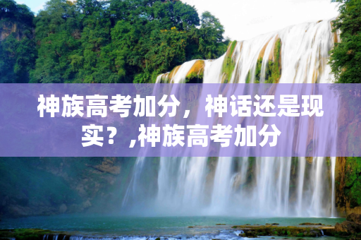 神族高考加分，神话还是现实？,神族高考加分