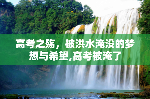 高考之殇，被洪水淹没的梦想与希望,高考被淹了