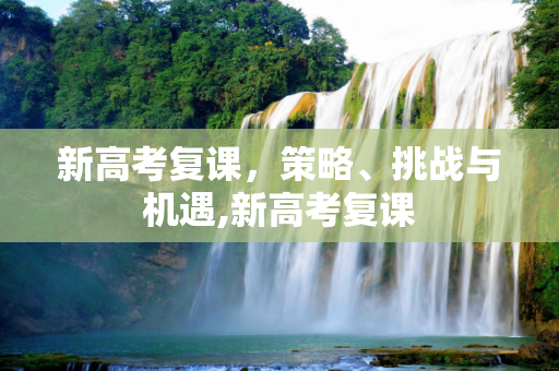 新高考复课，策略、挑战与机遇,新高考复课