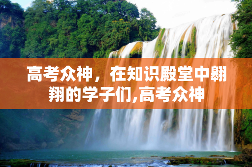 高考众神，在知识殿堂中翱翔的学子们,高考众神