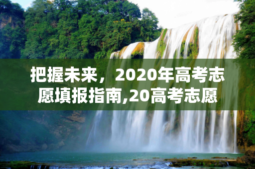 把握未来，2020年高考志愿填报指南,20高考志愿