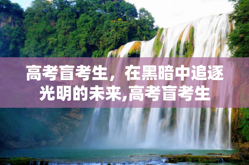 高考盲考生，在黑暗中追逐光明的未来,高考盲考生