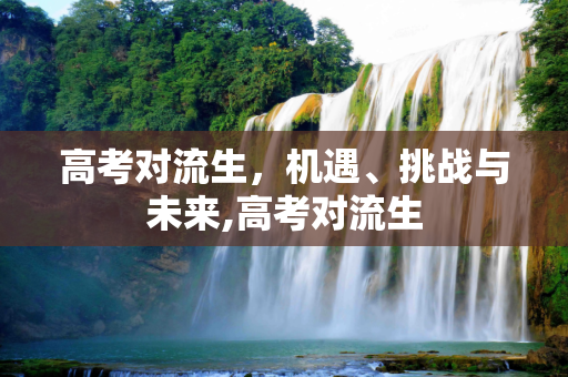 高考对流生，机遇、挑战与未来,高考对流生
