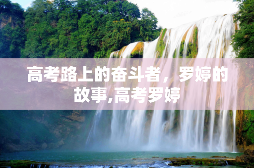 高考路上的奋斗者，罗婷的故事,高考罗婷