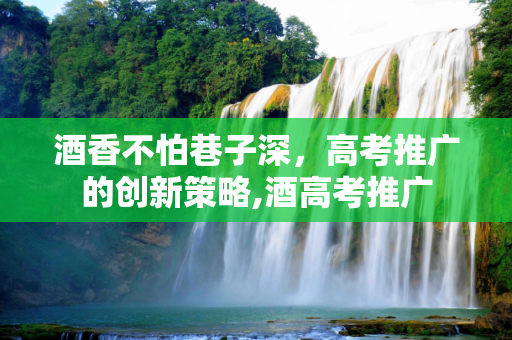 酒香不怕巷子深，高考推广的创新策略,酒高考推广