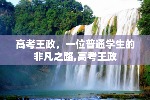 高考王政，一位普通学生的非凡之路,高考王政