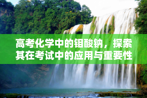 高考化学中的钼酸钠，探索其在考试中的应用与重要性,高考钼酸钠