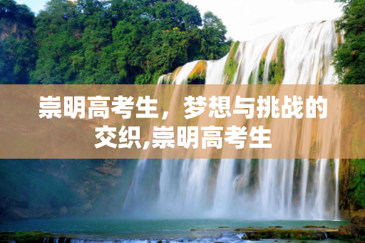 崇明高考生，梦想与挑战的交织,崇明高考生