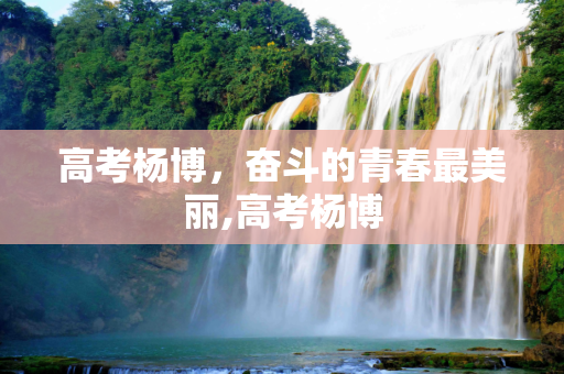 高考杨博，奋斗的青春最美丽,高考杨博