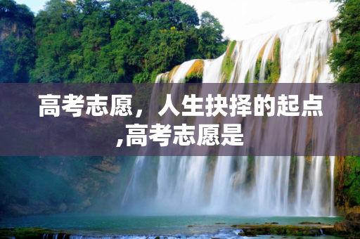 高考志愿，人生抉择的起点,高考志愿是