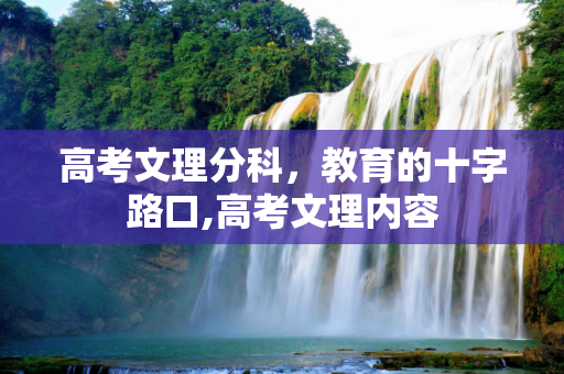 高考文理分科，教育的十字路口,高考文理内容