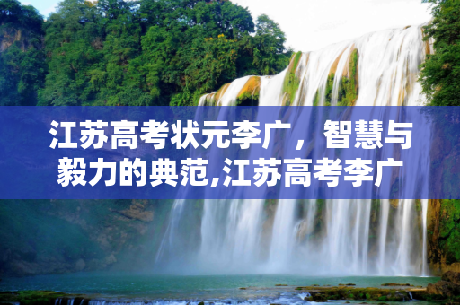 江苏高考状元李广，智慧与毅力的典范,江苏高考李广