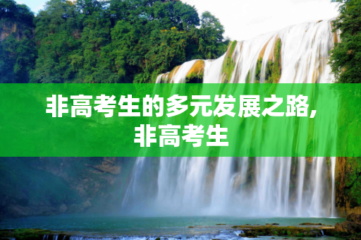 非高考生的多元发展之路,非高考生