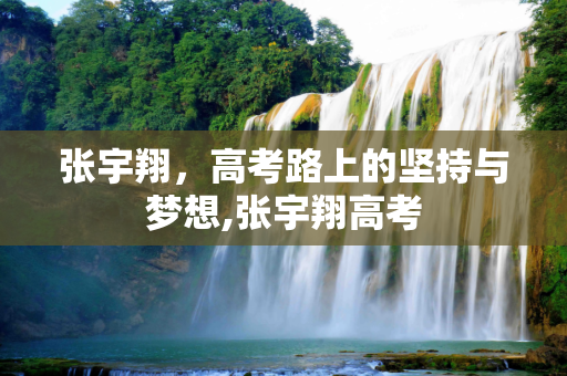 张宇翔，高考路上的坚持与梦想,张宇翔高考