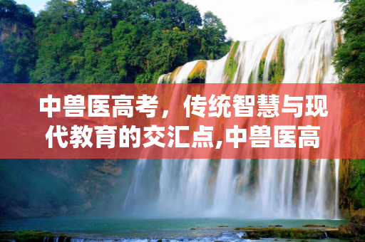 中兽医高考，传统智慧与现代教育的交汇点,中兽医高考