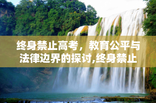 终身禁止高考，教育公平与法律边界的探讨,终身禁止高考
