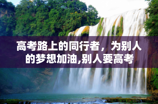 高考路上的同行者，为别人的梦想加油,别人要高考
