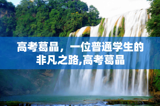高考葛晶，一位普通学生的非凡之路,高考葛晶