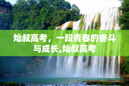 灿叔高考，一段青春的奋斗与成长,灿叔高考