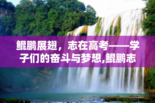 鲲鹏展翅，志在高考——学子们的奋斗与梦想,鲲鹏志高考