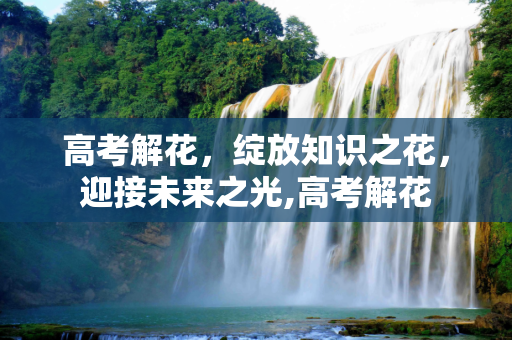 高考解花，绽放知识之花，迎接未来之光,高考解花