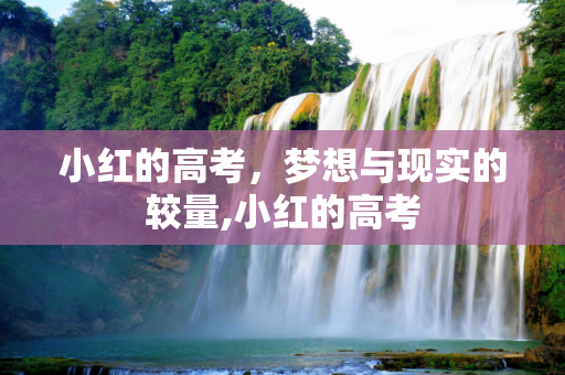 小红的高考，梦想与现实的较量,小红的高考