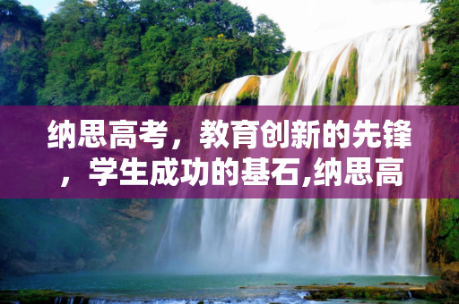 纳思高考，教育创新的先锋，学生成功的基石,纳思高考
