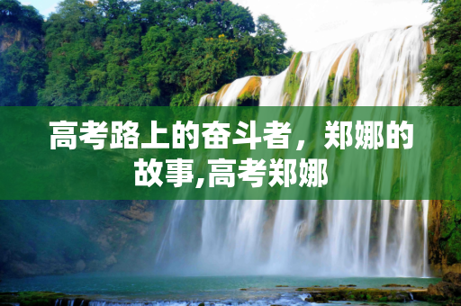 高考路上的奋斗者，郑娜的故事,高考郑娜
