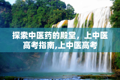 探索中医药的殿堂，上中医高考指南,上中医高考
