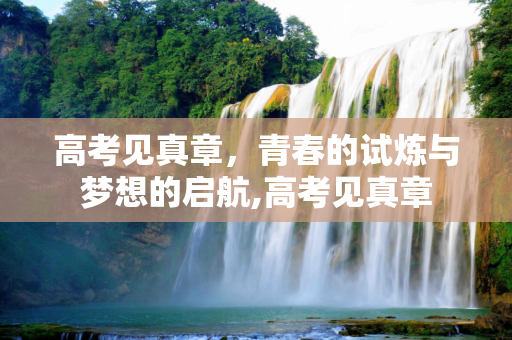 高考见真章，青春的试炼与梦想的启航,高考见真章