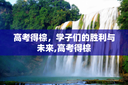 高考得棕，学子们的胜利与未来,高考得棕