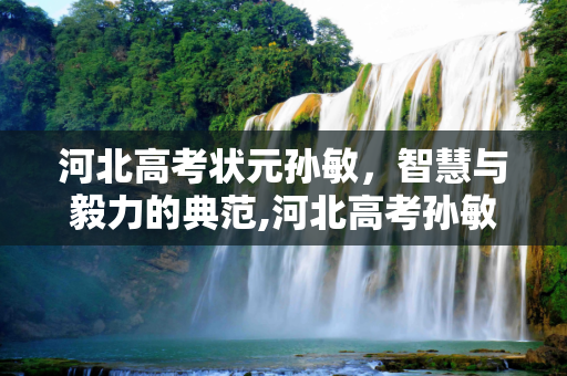 河北高考状元孙敏，智慧与毅力的典范,河北高考孙敏