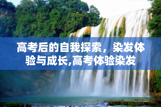 高考后的自我探索，染发体验与成长,高考体验染发