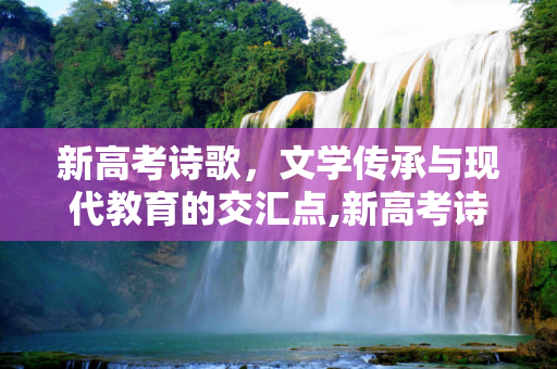 新高考诗歌，文学传承与现代教育的交汇点,新高考诗歌