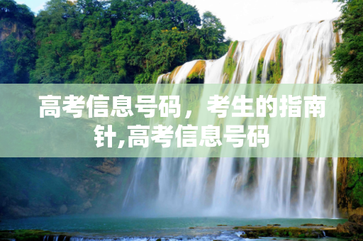 高考信息号码，考生的指南针,高考信息号码