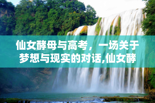 仙女酵母与高考，一场关于梦想与现实的对话,仙女酵母高考