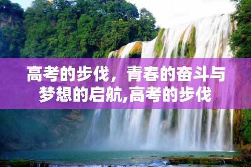 高考的步伐，青春的奋斗与梦想的启航,高考的步伐