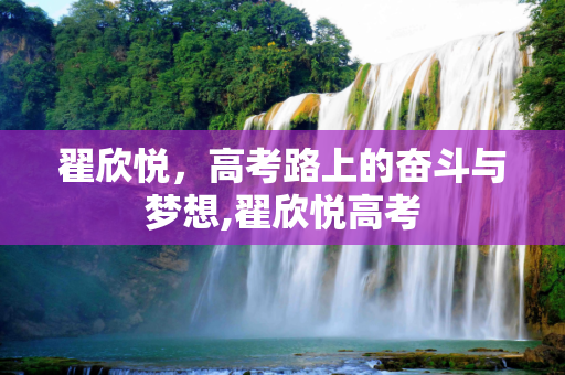 翟欣悦，高考路上的奋斗与梦想,翟欣悦高考