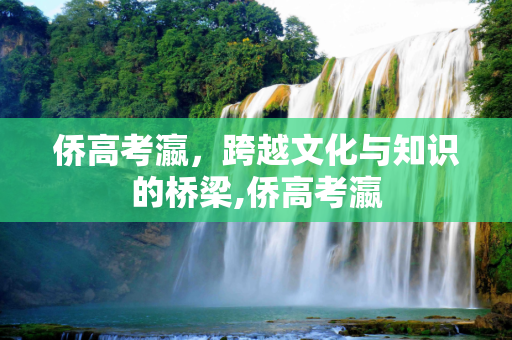 侨高考瀛，跨越文化与知识的桥梁,侨高考瀛