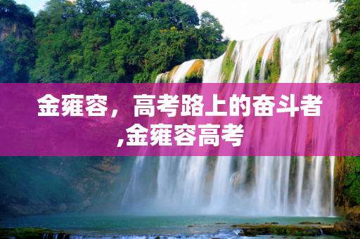 金雍容，高考路上的奋斗者,金雍容高考