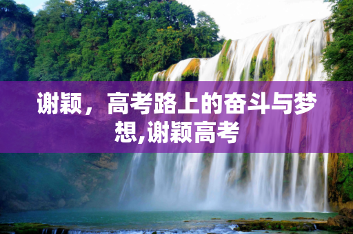 谢颖，高考路上的奋斗与梦想,谢颖高考