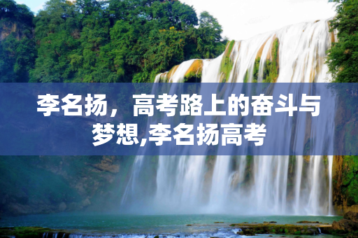 李名扬，高考路上的奋斗与梦想,李名扬高考