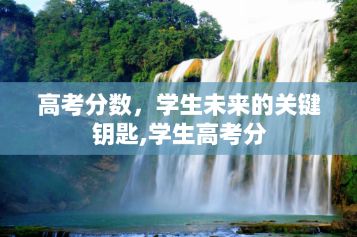 高考分数，学生未来的关键钥匙,学生高考分