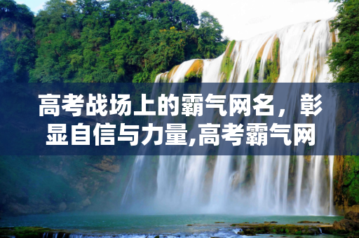 高考战场上的霸气网名，彰显自信与力量,高考霸气网名