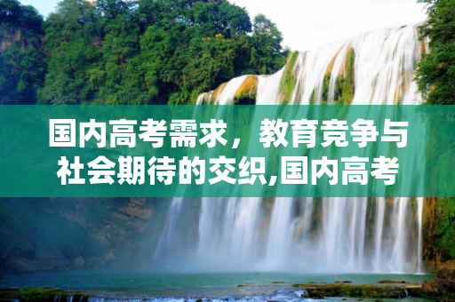 国内高考需求，教育竞争与社会期待的交织,国内高考需求