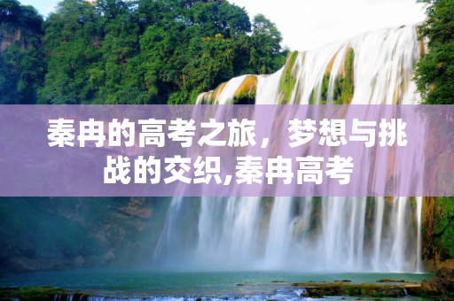 秦冉的高考之旅，梦想与挑战的交织,秦冉高考