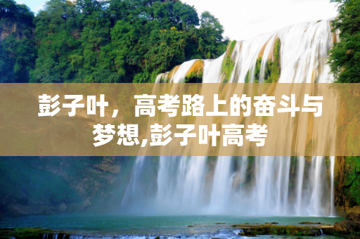 彭子叶，高考路上的奋斗与梦想,彭子叶高考